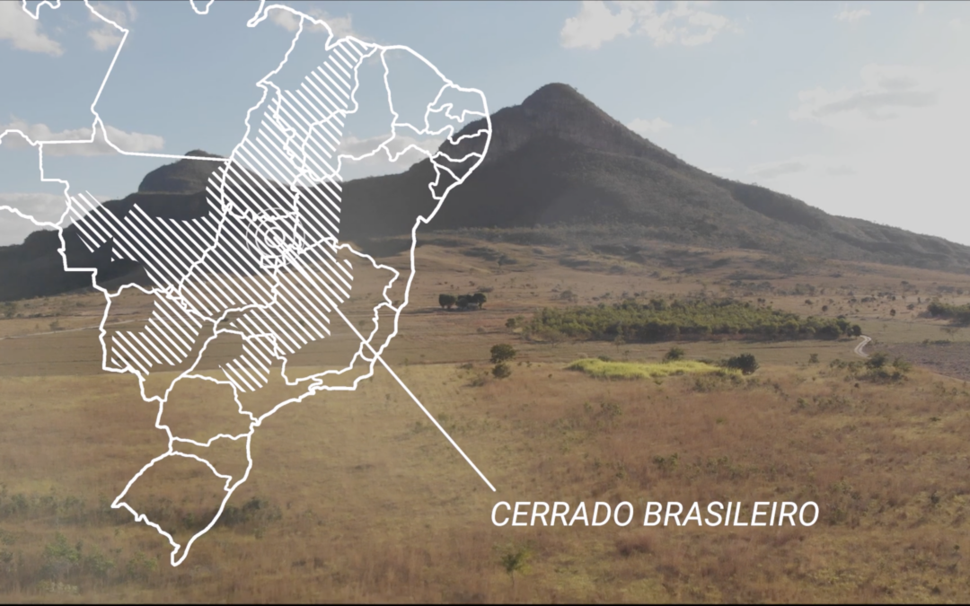 A Fato Relevante apresenta seu case do Cerrado